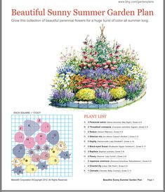 the beautiful sunny summer garden plan is shown in this page, which includes flowers and plants