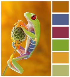 a green frog sitting on top of a flower next to a color swatch with the same color scheme