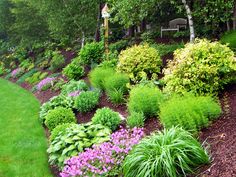 a garden with lots of green plants and purple flowers in the center, along side a bench