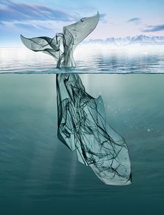 a plastic bag floating in the water