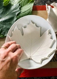 a person holding a white plate with a leaf on it