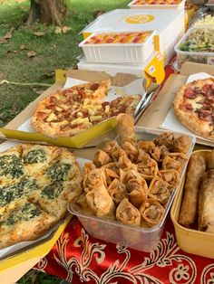 many different types of pizzas and other food items on a table in the park