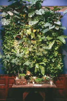 a large green wall with plants and candles on the table in front of it that is surrounded by blue walls