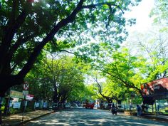 an empty street with lots of trees lining the sides and people walking on the sidewalk