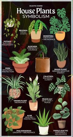 Plant Symbolism, نباتات منزلية, Plant Care Houseplant, Inside Plants, Magic Garden, Growing Plants Indoors, Best Indoor Plants, House Plants Decor, House Plant Care