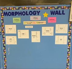 a blue bulletin board with words and pictures on it that read morphlogy wall