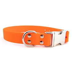 an orange dog collar with metal buckles and two holes on the front, which are also