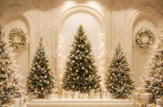 three christmas trees are lined up in front of a fireplace