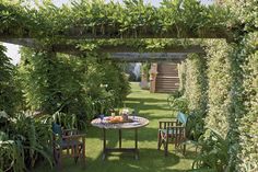 an outdoor table and chairs in the middle of a garden with lots of greenery