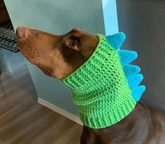 a brown dog wearing a green and blue knitted dinosaur hat on top of it's head