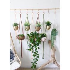 hanging planters with plants in them on the wall next to a wicker chair