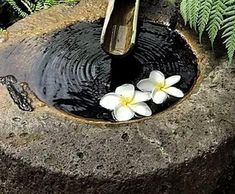 two white flowers are placed in a water fountain