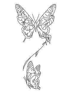 two butterflies flying in the air with one wing extended and another wing folded back to the side