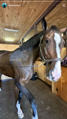 a brown horse standing inside of a wooden barn next to a person in white shoes