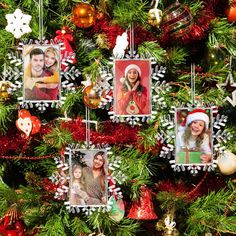 christmas tree decorated with pictures and ornaments