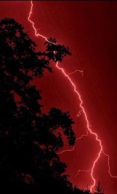 a red sky with lightning striking over trees