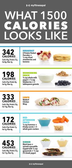 Thousand Calorie Meal Plan, What 500 Calories Looks Like, What I Eat In A Day 1600 Calories, Loss Weight Meal Plan Healthy Eating, Easy 1800 Calorie Meal Plan, 500calorie Diet, Wegovy Food Plan, 1 500 Calorie Meal Plan Easy, Simple Healthy Diet Plan