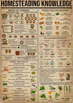 homesteading knowledge Cooking Hobby, Magia Das Ervas, Survival Life Hacks, Survival Life, Camping Ideas, Survival Tips, Useful Life Hacks, Survival Skills, Permaculture