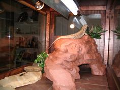 an elephant statue sitting on top of a wooden table next to a potted plant