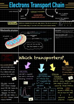 an info board with diagrams on how to use the electronic transport chain in different ways