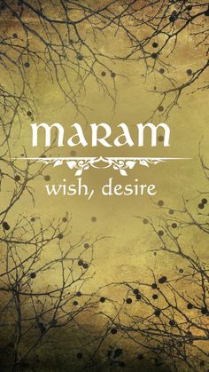 a book cover with branches and the words, maram wish, desire on it