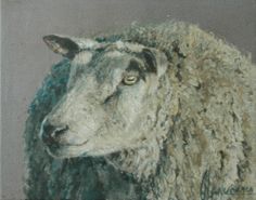 a painting of a sheep in pastel and black on grey paper with grass around it