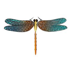 a blue and yellow dragonfly sitting on top of a wooden stick with its wings spread out