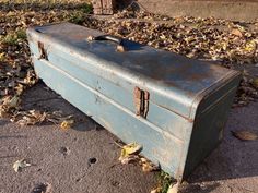 an old blue suitcase sitting on the ground in front of some fallen leaves and trees