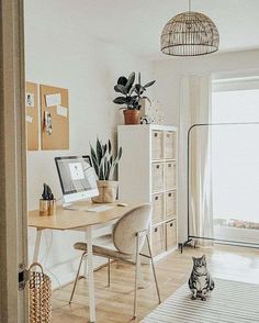 a cat sitting on the floor in front of a desk