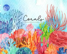 watercolor painting of corals and seaweed with the word corals on it