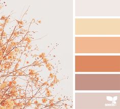 a tree with lots of yellow flowers on it and the color palette is peach, brown, and beige