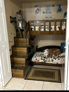 bunk beds in a closet for dogs. A dog bedroom Home With Dogs Ideas, Big Dog Room Ideas, Dogs Room Ideas Bedrooms, Dog Crate Bunk Beds, Cat And Dog Room Ideas, Pet Sleeping Area, Dog House Inside Home, Cute Dog Area In Bedroom, Bedroom Ideas With Dogs