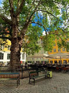 an empty bench under a tree in front of some tables and umbrellas on the sidewalk