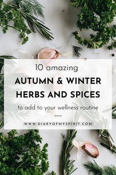 10 best autumn and winter herbs and spices for optimal health Herbs For Immune Health, Winter Herbs, Chesty Cough, Winter Health, Seasonal Eating, Winter Wellness, Savory Herb, Raw Garlic, Fresh Spices