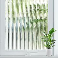 a potted plant sitting on top of a window sill next to a window