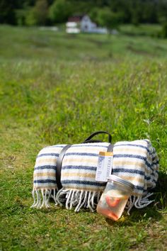 two tea bags sitting on top of a lush green field