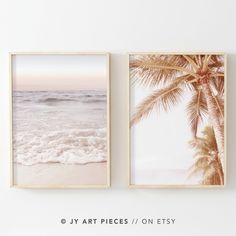 two framed pictures hanging on the wall next to each other, one with a palm tree