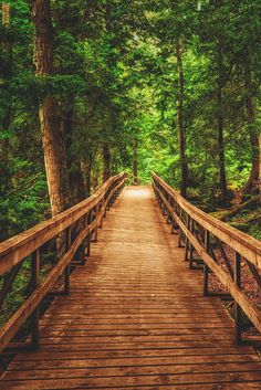 a wooden bridge in the middle of a forest with lots of trees on both sides