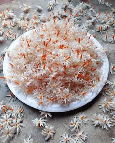 a white plate topped with lots of orange and white sprinkles on top of a table