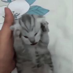 a person is holding a paper cut out of a baby tiger cub with flowers on it's head