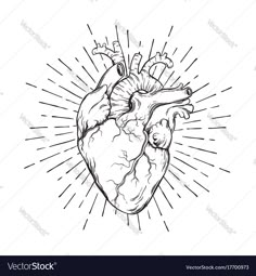 the human heart in black and white with sunbursts around it stock photo