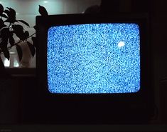 an old television sitting next to a potted plant in a dark room at night