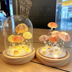 two decorative items under a glass dome on a table