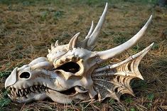 an animal skull with large horns laying on the ground in grass and straw, looking like a dragon's head