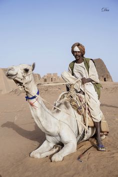 a man sitting on top of a white camel