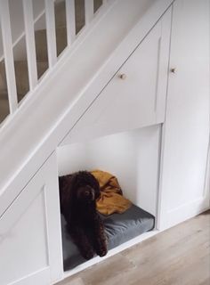 a dog is laying down in the under stair bed that's built into the wall