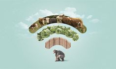 a man kneeling down in front of a collage of farm animals and vegetables on a blue sky background