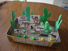 a cardboard box filled with different types of desert plants and animals on top of sand