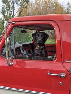 a black dog sitting in the drivers seat of a red truck