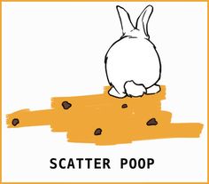 a white rabbit sitting on top of a piece of paper with the words scatter poop